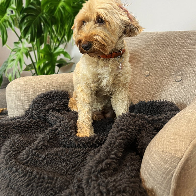 Extra Large Fluffy Dog Snuggle Blanket