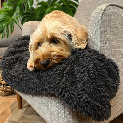 Extra Large Fluffy Dog Snuggle Blanket