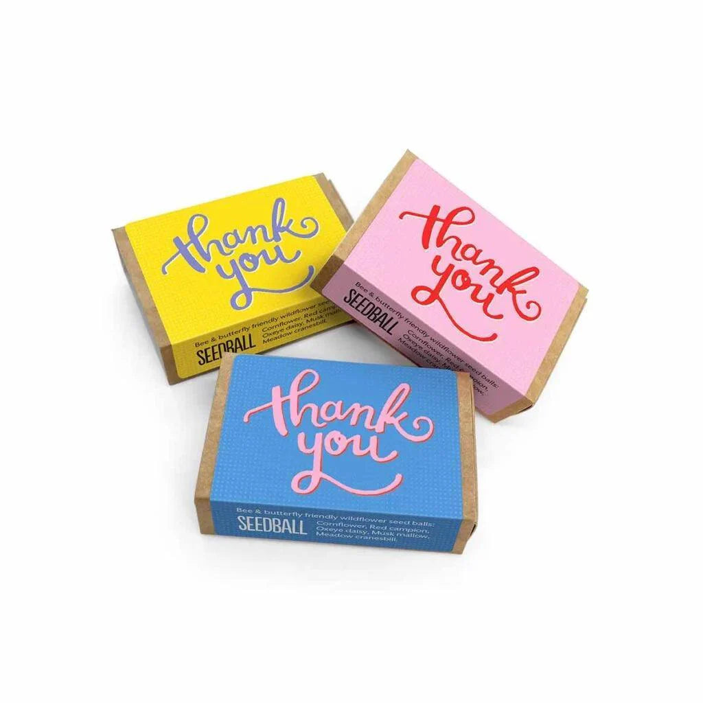 Thank You Wildflower Seed Ball Box