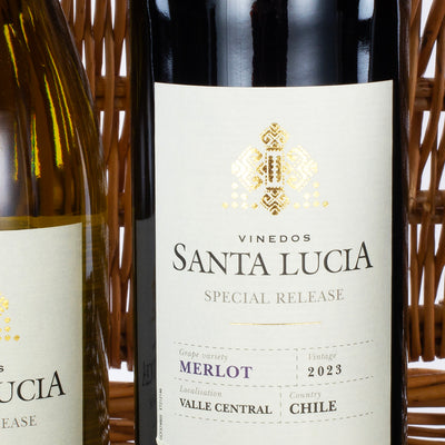 Wine Tasting Extravaganza