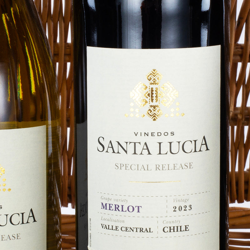 Wine Tasting Extravaganza