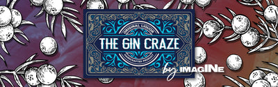 The Gin Craze - Palaces For The People