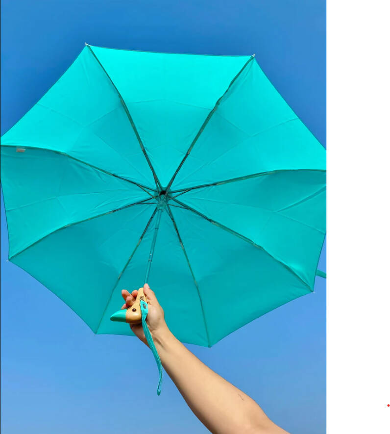 Mint Eco-Friendly Umbrella