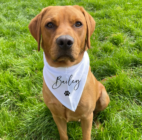 Dog bandana with clearance name