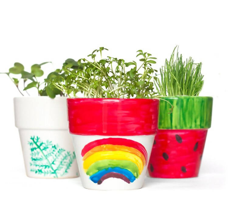 Windowsill Garden Kit