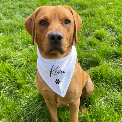 Personalised printed Dog Neckerchief bandana