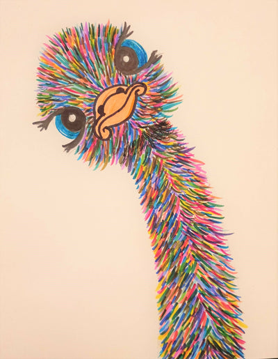 Draw A Cartoon Emu - Online Workshop