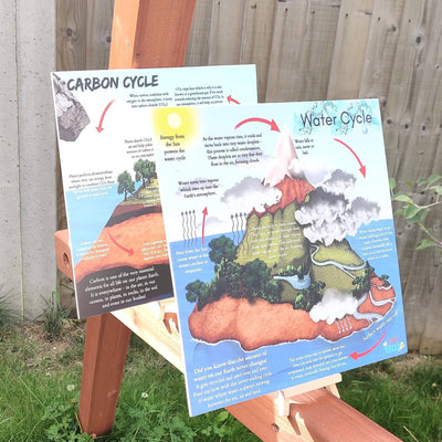 Water Cycle & Carbon Cycle Portable Educational Poster Boards (Large: 30x30cm) + Free Wooden Display Stand