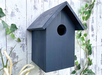 Starling Bird Box. Can be personalised.