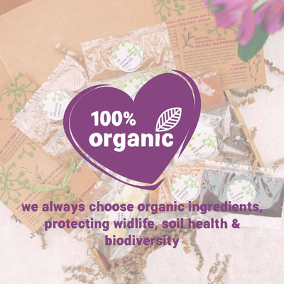 Zero Waste Organic Vegan Eco Skincare Kit