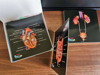 Complete Human Anatomy Set Our Bodies Inside And Out Science for Kids Biology Organs, Skeletal System Educational Resources Homeeducation