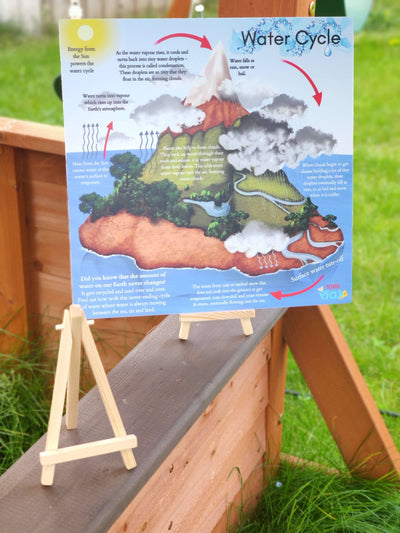 Water Cycle & Carbon Cycle Portable Educational Poster Boards (Large: 30x30cm) + Free Wooden Display Stand