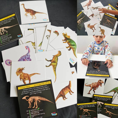 Dinosaurs - From Flesh To Bones! (Collector's Edition) Educational Gifts for Kids