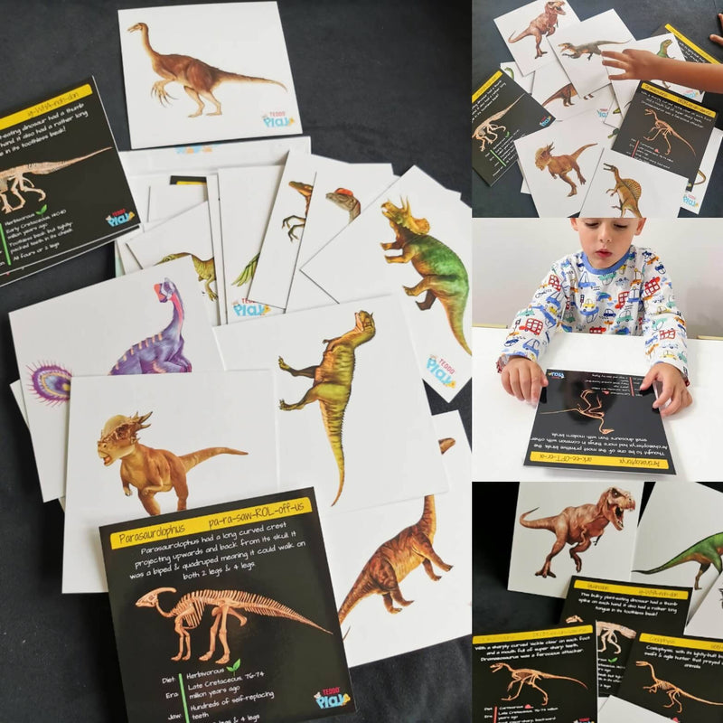 Dinosaurs - From Flesh To Bones! (Collector&
