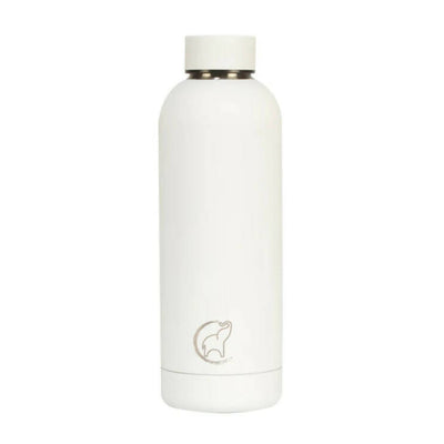 Insulated Water Bottle