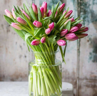 Fresh Tulips Bouquet