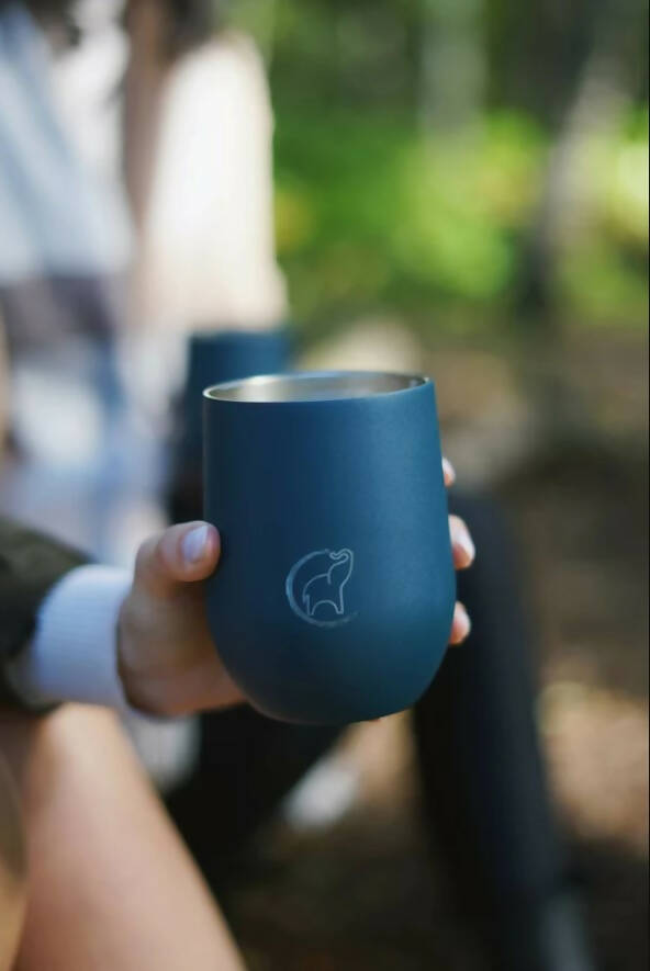 Insulated Tumbler