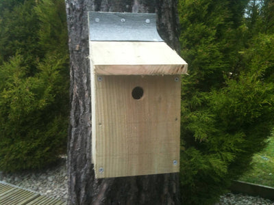 Make your own Bird Box Kit