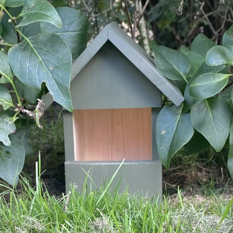 Robin or Wren Bird Box