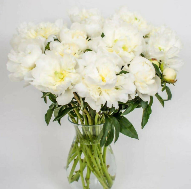 Fresh Handmade Peonies Bouquet