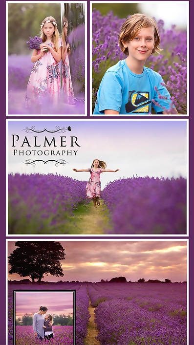 Lavender Field Photo Shoot