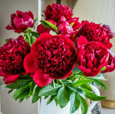 Fresh Handmade Peonies Bouquet