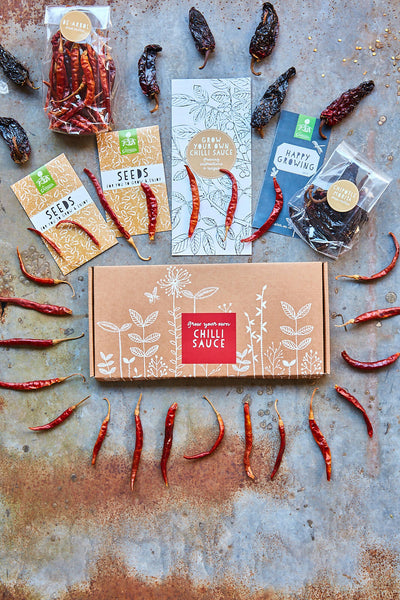 Grow Your Own Chilli Sauce Gift Kit