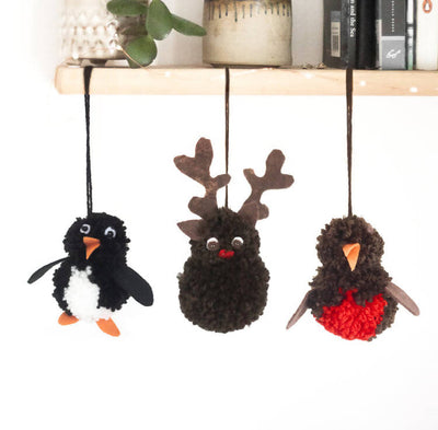 Pom Pom Creatures Kit